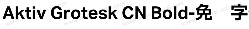 Aktiv Grotesk CN Bold字体转换